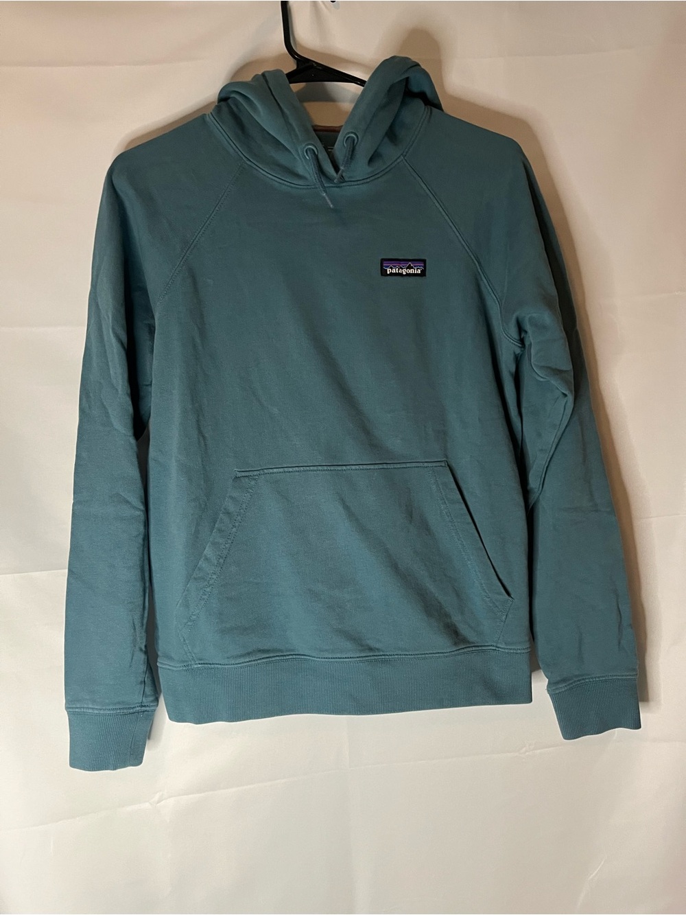 Patagonia women’s organic cotton Pullover Hoodie